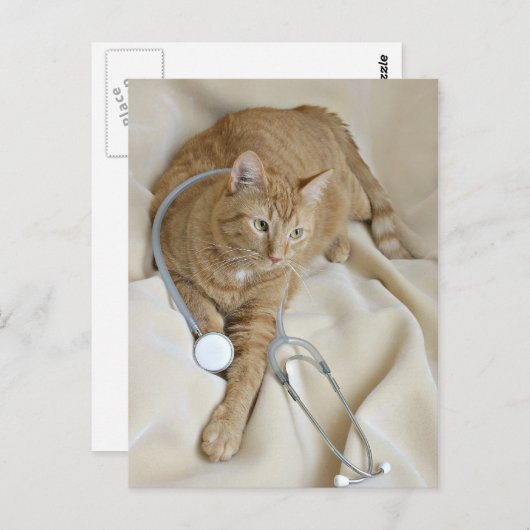 Kat wordt goed briefkaart (Voorkant / Achterkant)