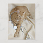 Kat wordt goed briefkaart (Voorkant)