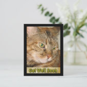 Kat wordt snel beter briefkaart (Staand voorkant)