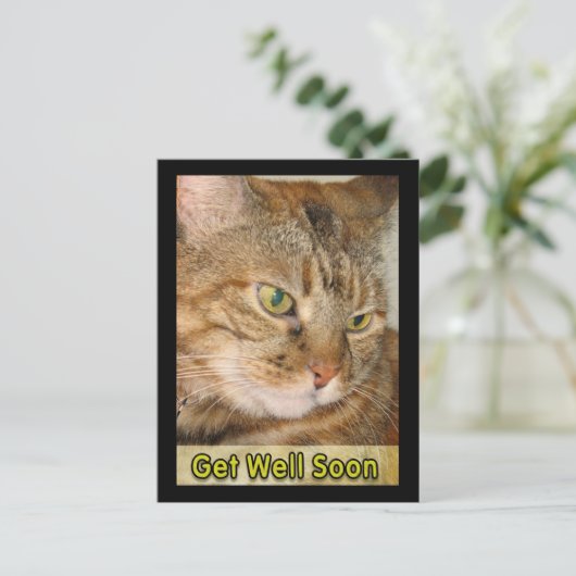 Kat wordt snel beter briefkaart (Staand voorkant)