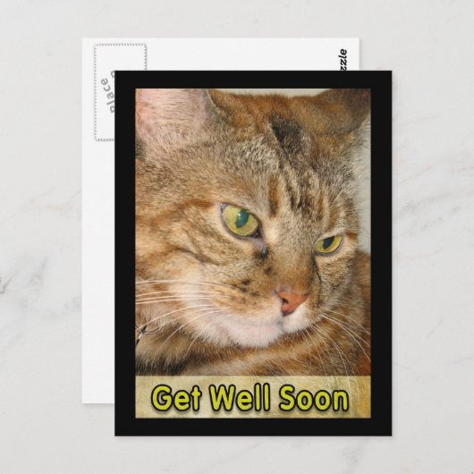 Kat wordt snel beter briefkaart (Voorkant / Achterkant)