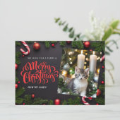 Kat Xmas vakantiekaart Feestdagenkaart (Staand voorkant)