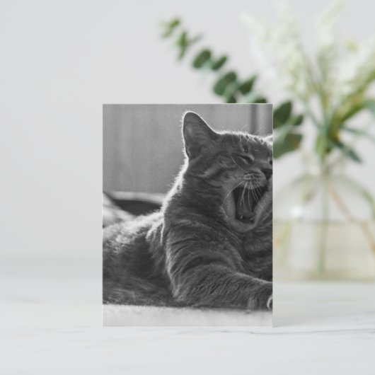 Kat Yawning Briefkaart (Staand voorkant)