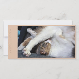 Kat Yoga/Sweet Face Bedankkaart