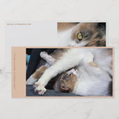 Kat Yoga/Sweet Face Bedankkaart (Voorkant / Achterkant)