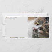 Kat Yoga/Sweet Face Bedankkaart (Achterkant)