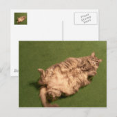 Kat Yoga van Smoochie Girl Briefkaart (Voorkant / Achterkant)