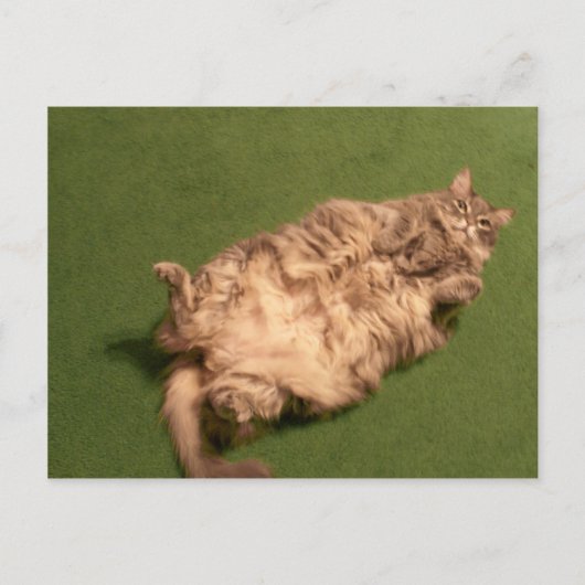 Kat Yoga van Smoochie Girl Briefkaart (Voorkant)