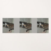 Kat Yoga Yogamat (Voorkant (horizontaal))