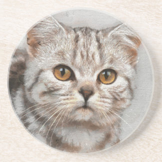 kat zandsteen onderzetter