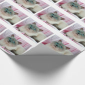 Kat zien cadeaupapier (Hoek)