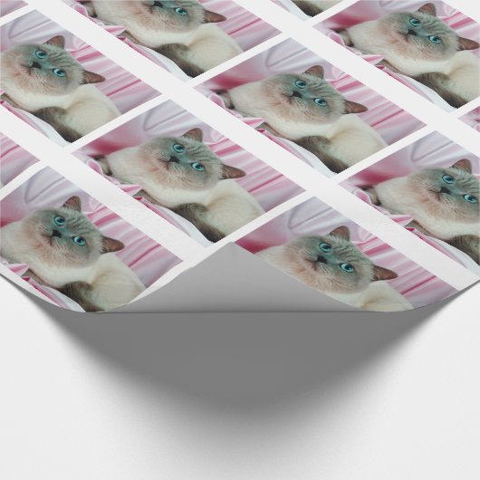 Kat zien cadeaupapier (Hoek)