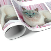 Kat zien cadeaupapier (Rol Hoek)