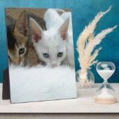 Kat ziet er leuk uit fotoplaat (Zijkant)
