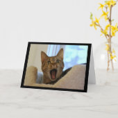 Kat zingt gelukkige verjaardag kaart (Gele Bloem)