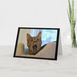 Kat zingt gelukkige verjaardag kaart