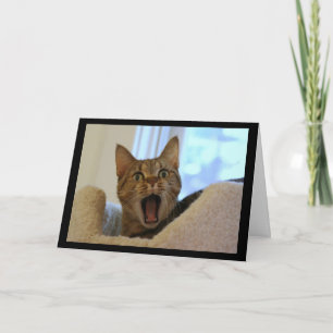 Kat zingt gelukkige verjaardag kaart