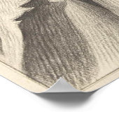 Kat zit in een mand 1802 poster (Hoek)