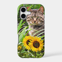 Kat zit in tuin met zonnebloemen