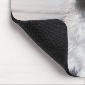 Kat zit op en kijkt op muismat (Hoek)