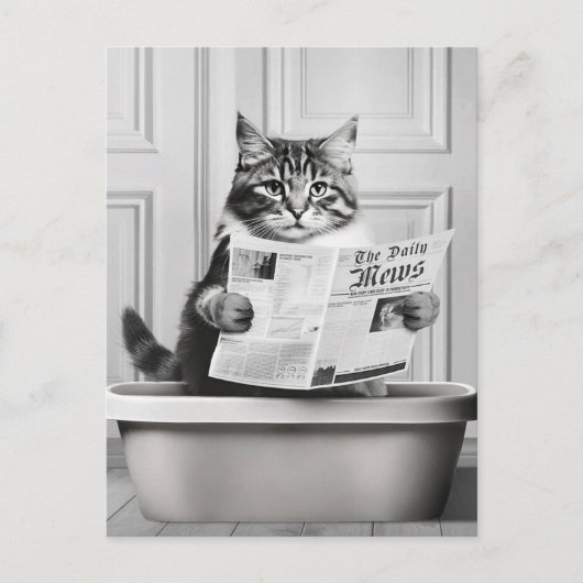 Kat zit op het toilet, kat leest nieuws briefkaart (Voorkant)