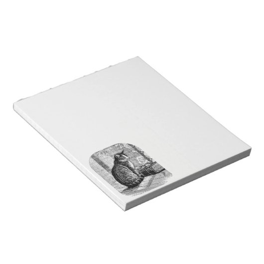 Kat Zittend door Venster met Boek Notitieblok (Schuin)