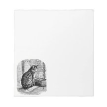 Kat Zittend door Venster met Boek