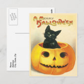 Kat zittend in een pompoen  Briefkaart (Voorkant / Achterkant)