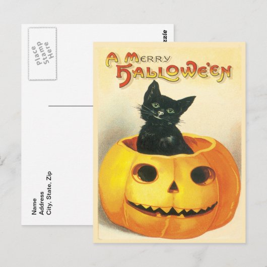 Kat zittend in een pompoen  Briefkaart (Voorkant / Achterkant)