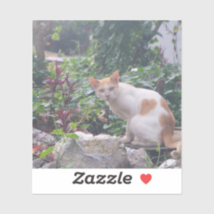 Kat Zittend op een puin van stenen Sticker