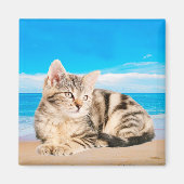 Kat Zittend op Tropical Island Beach Magneet (Voorkant)