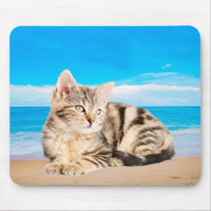 Kat Zittend op Tropical Island Beach Muismat