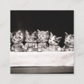 kat zitters professionele Sjabloon Vierkante Visitekaartje (Voorkant)