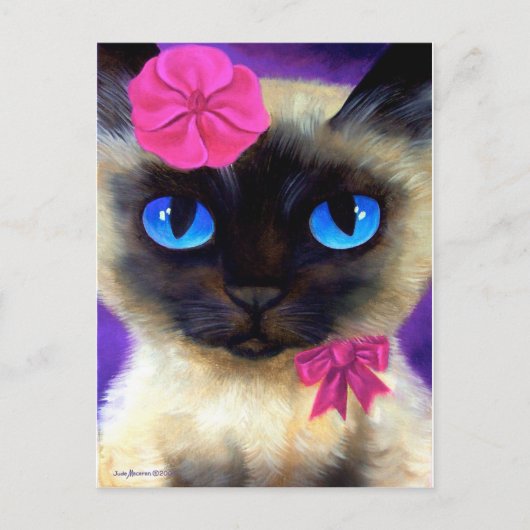 Kat, zon en levensloop briefkaart (Voorkant)