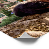 Kat zonnebaden aan de muur - Valldemossa, Mallorca Poster (Hoek)