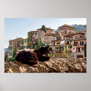 Kat zonnebaden aan de muur - Valldemossa, Mallorca Poster