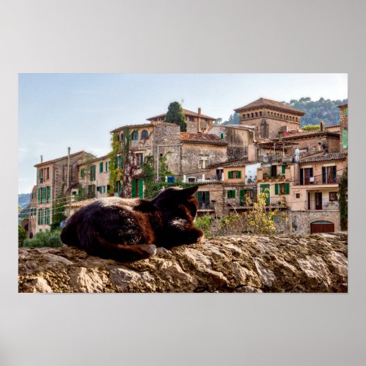 Kat zonnebaden aan de muur - Valldemossa, Mallorca Poster (Voorkant)