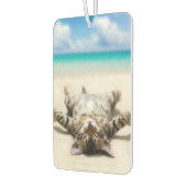 Kat Zonnebaden in het strand Luchtverfrisser (Links)
