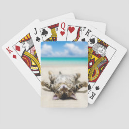 Kat Zonnebaden in het strand Pokerkaarten