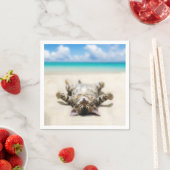 Kat Zonnebaden in het strand Servet (Insitu)