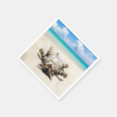 Kat Zonnebaden in het strand Servet (Hoek)