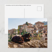 Kat zonnebadt op een muur - Valldemossa, Mallorca Briefkaart (Voorkant / Achterkant)