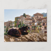 Kat zonnebadt op een muur - Valldemossa, Mallorca Briefkaart (Voorkant)