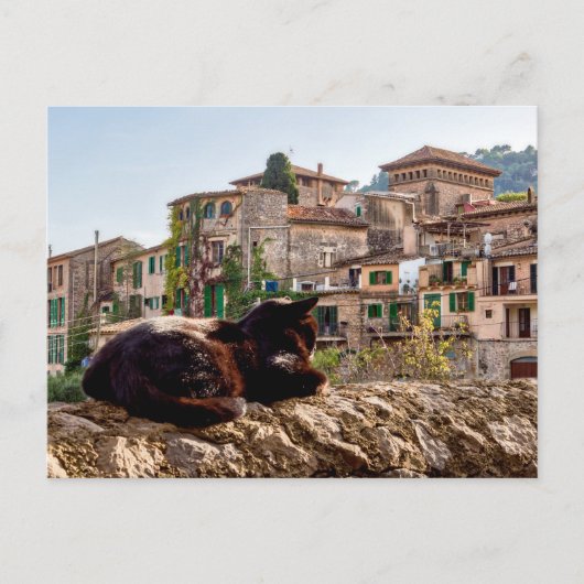Kat zonnebadt op een muur - Valldemossa, Mallorca Briefkaart (Voorkant)