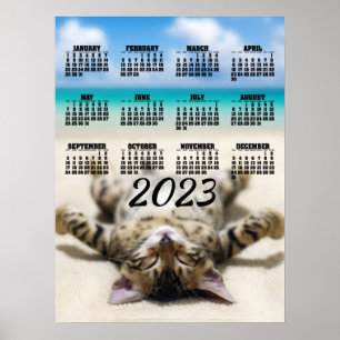 Kat zonnebadt op het strand 2023 kalenderposter poster