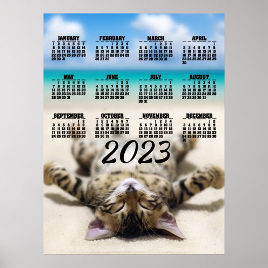 Kat zonnebadt op het strand 2023 kalenderposter poster (Voorkant)