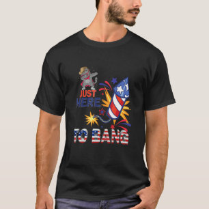 Kat Zonnebril Alleen Hier Om Af Te Gaan  Vuurwerk  T-shirt