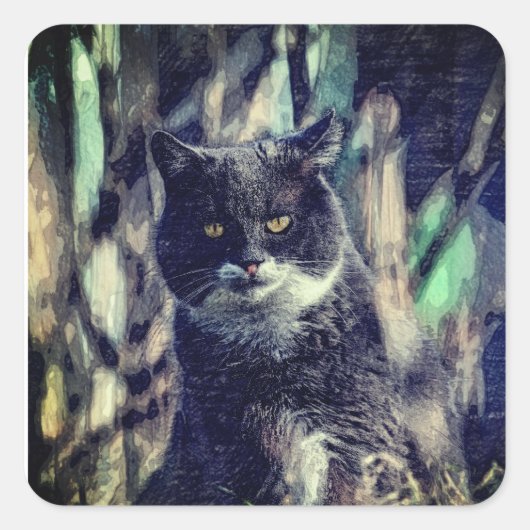 Kat, zoogdier, dier vierkante sticker (Voorkant)