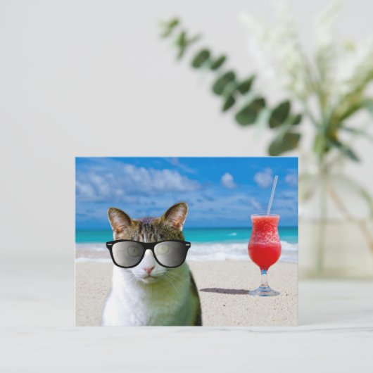 KAT-ZUIVERINGSSUNLASSEN OP DE BRIEFKAARTEN (Staand voorkant)