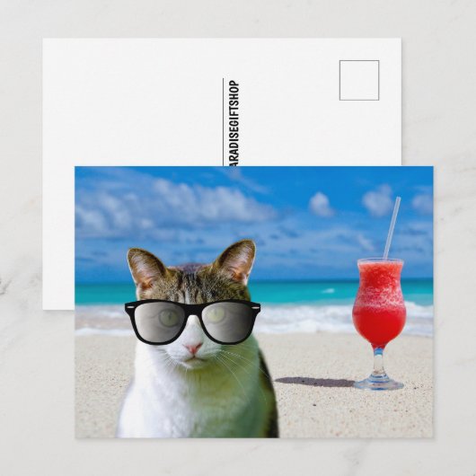 KAT-ZUIVERINGSSUNLASSEN OP DE BRIEFKAARTEN (Voorkant / Achterkant)